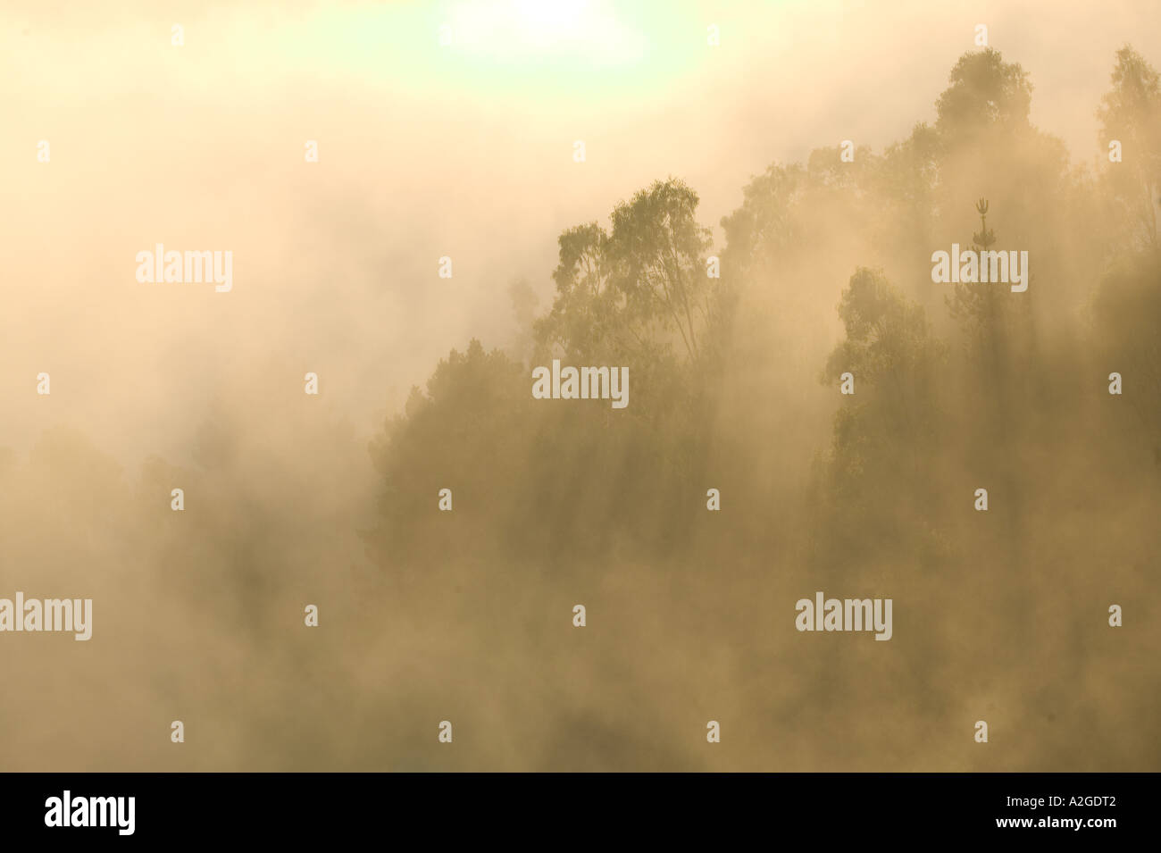 USA, California, Berkeley: Afternoon Fog seen from Berkeley Hills Stock Photo