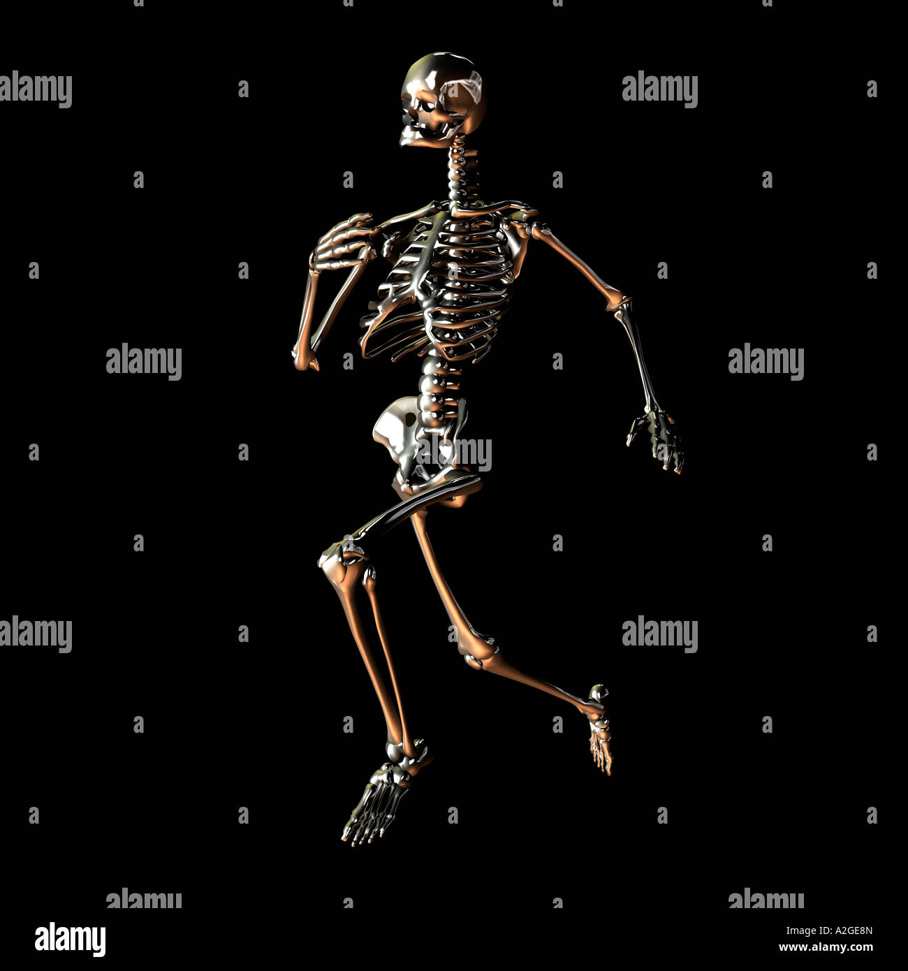 Running skeleton hi-res stock photography and images - Alamy