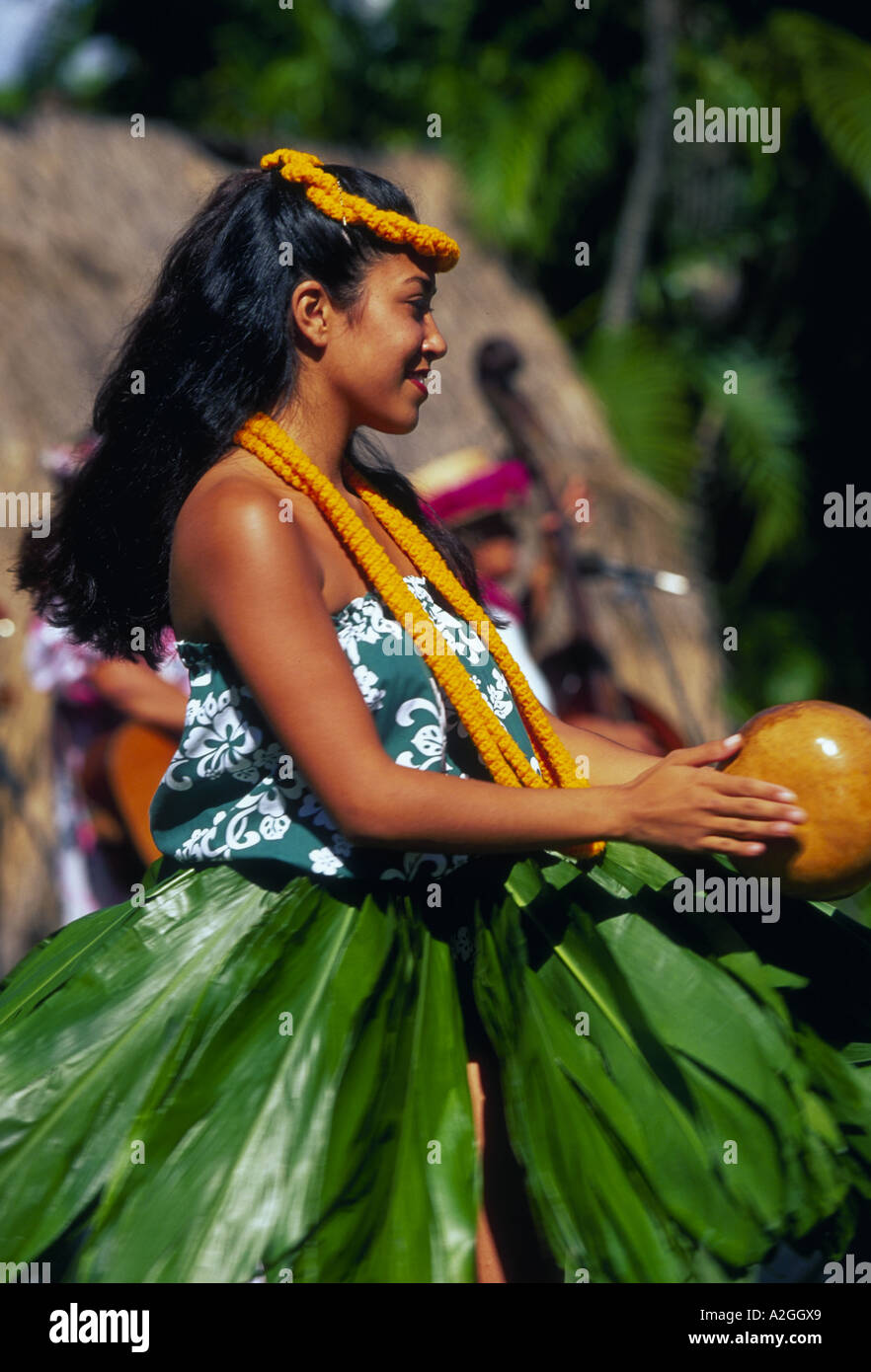 hawaiian hula dress