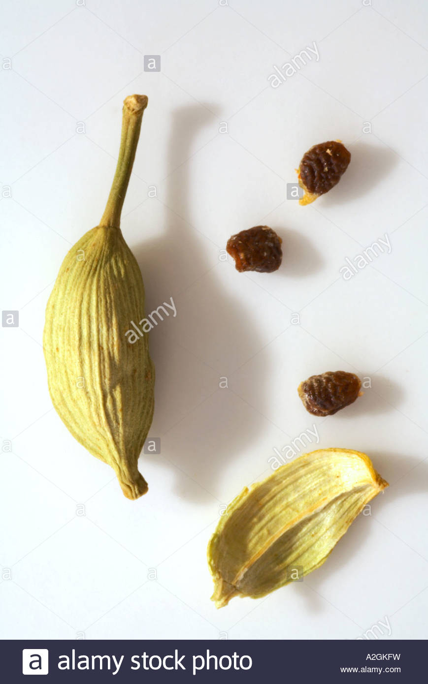 Cardamom pod and seeds Stock Photo Alamy