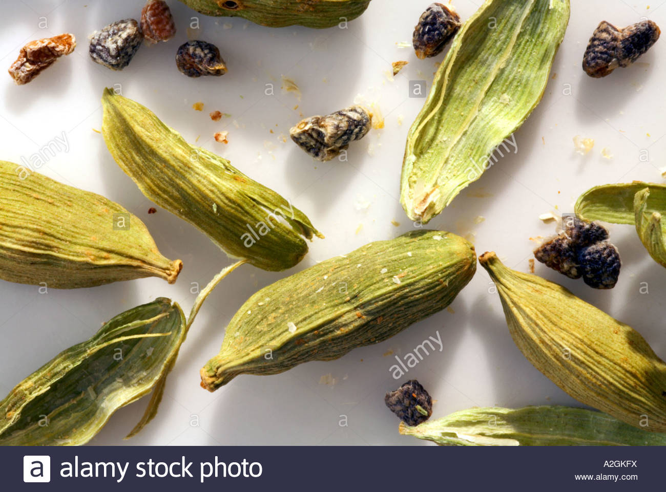 Cardamom pods and seeds Stock Photo Alamy