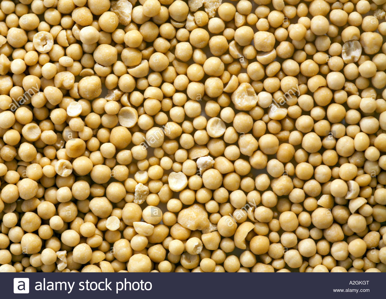 Dried active yeast Stock Photo Alamy
