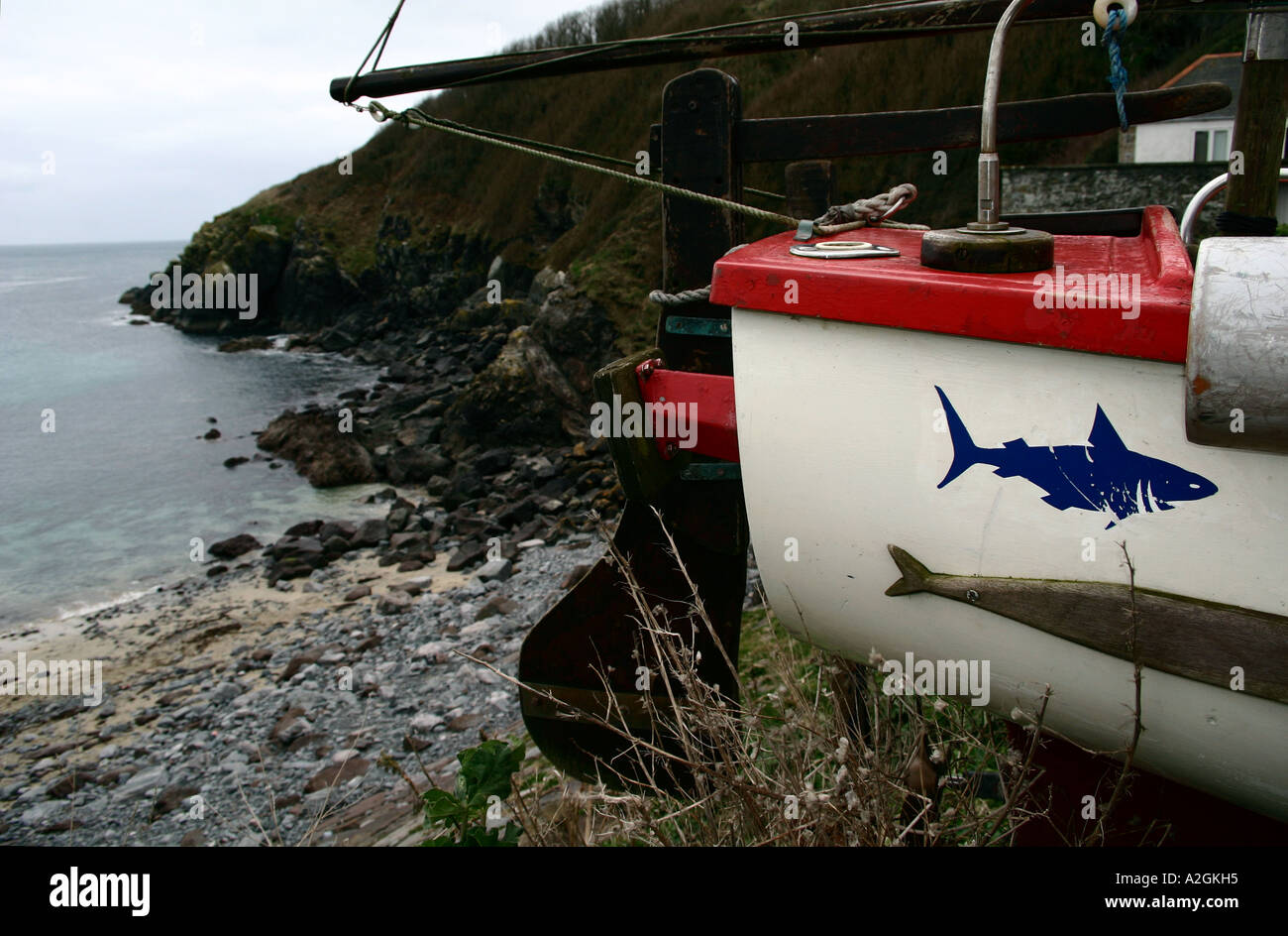 cadgwith cove cornwall Stock Photo Alamy