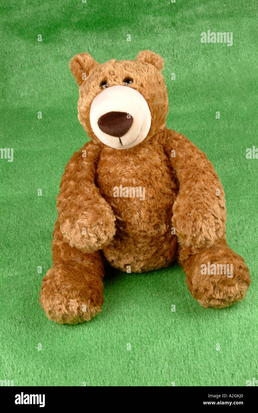 plush teddy bear Plüschteddy Bär Stock Photo