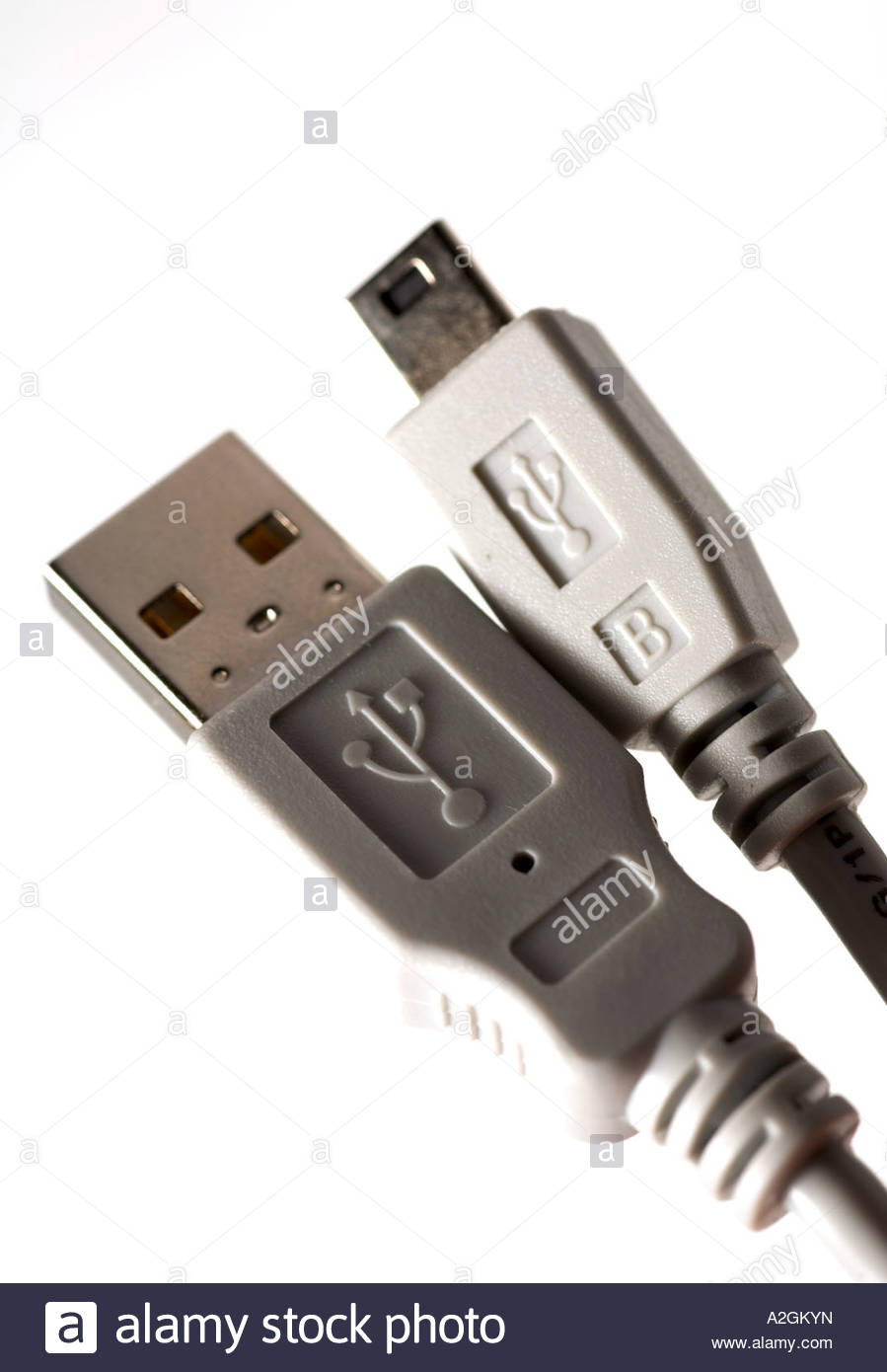 USB Cable and connector plugs Stock Photo Alamy