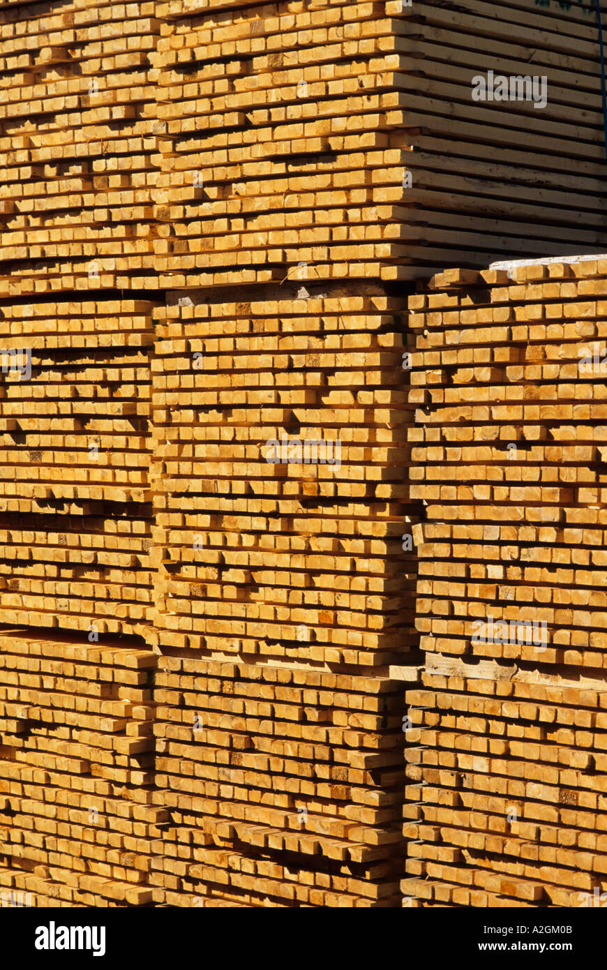 stacked lumber Baker Brook New Brunswick Canada Stock Photo Alamy