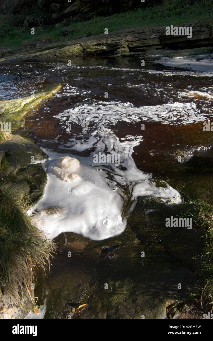 Froth on the River Etherow which flows off the peat moorland on the Yorkshire Derbyshire border Stock Photo