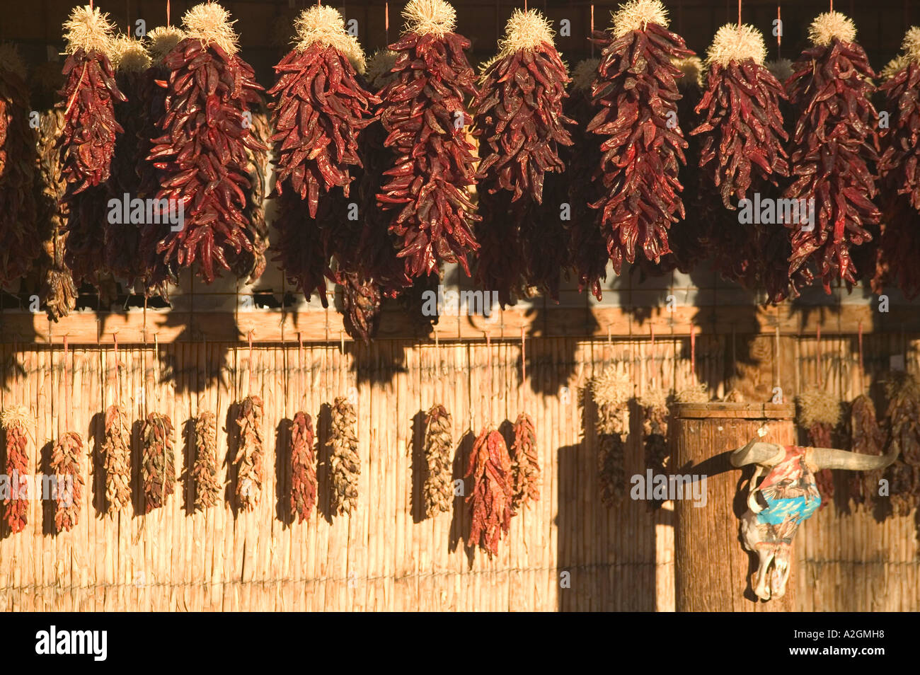 USA, New Mexico, Mesilla Historic Mesilla Plaza Chili Pepper Ristra