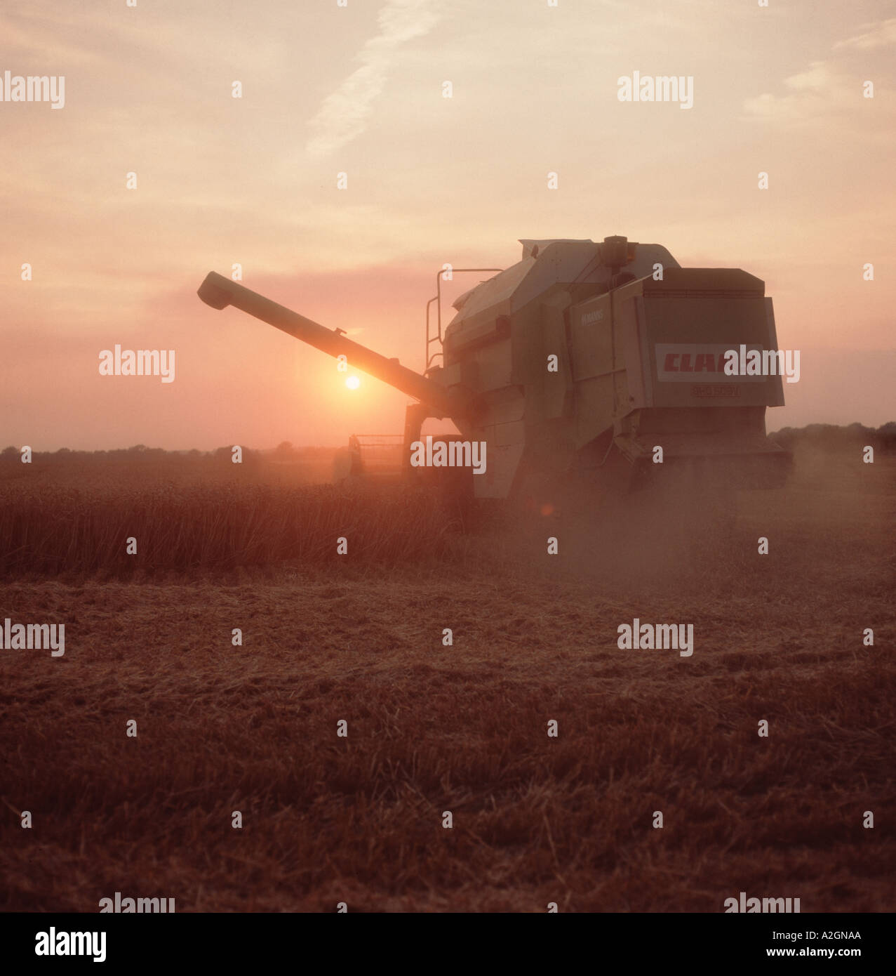 Combine harvesting late on a summer's evening with the sun setting ...