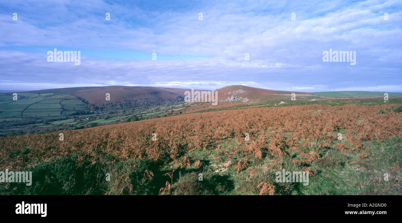 Panorama over Dartmoor in winter with brown bracken tors in the distance and wintery sky Stock Photo