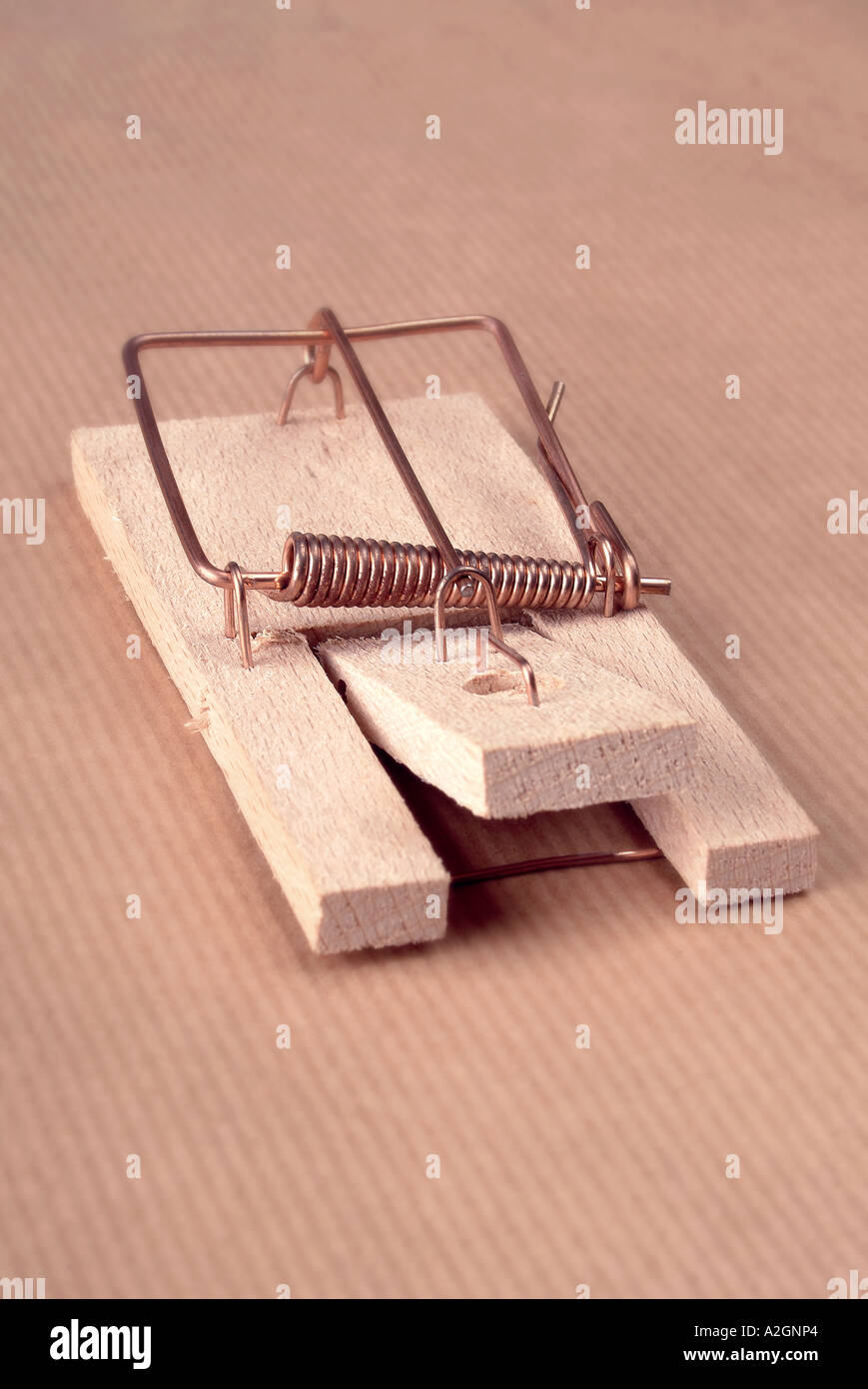 mouse trap Mausefalle Stock Photo