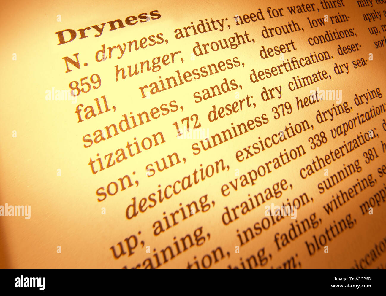 THESAURUS PAGE SHOWING DEFINITION OF WORD DRYNESS Stock Photo - Alamy