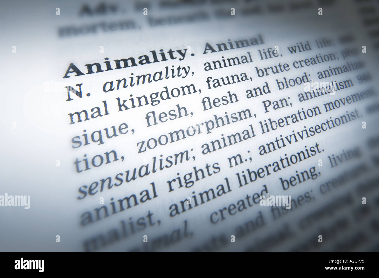 Word animal hi-res stock photography and images - Alamy