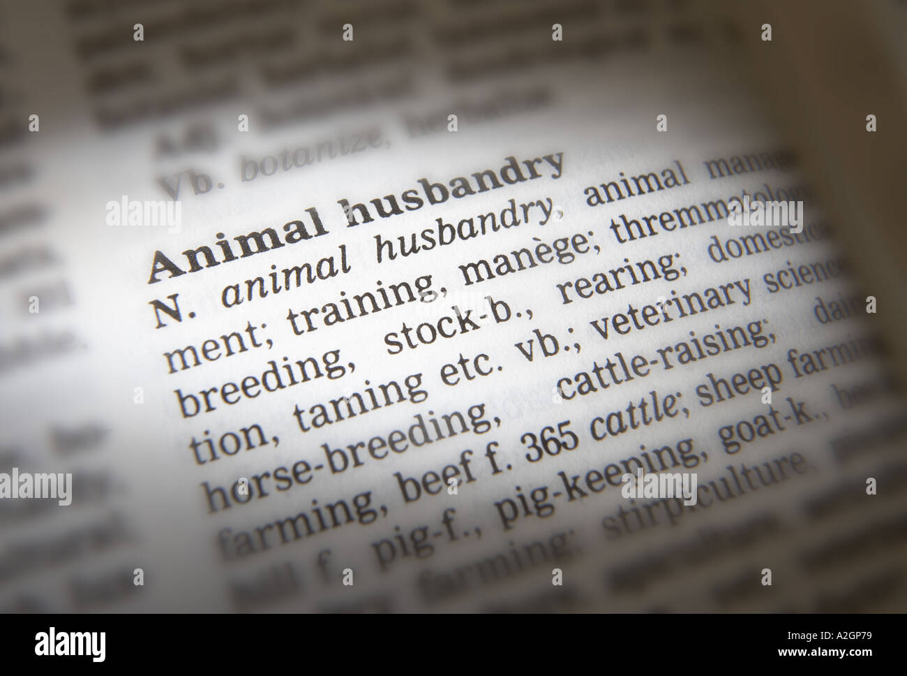 THESAURUS PAGE SHOWING DEFINITION OF WORD ANIMAL HUSBANDRY Stock Photo