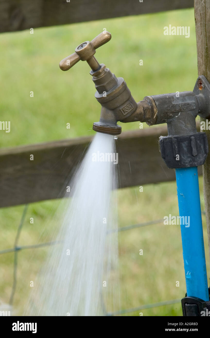 Running water tap in field for animals and outside use Stock Photo