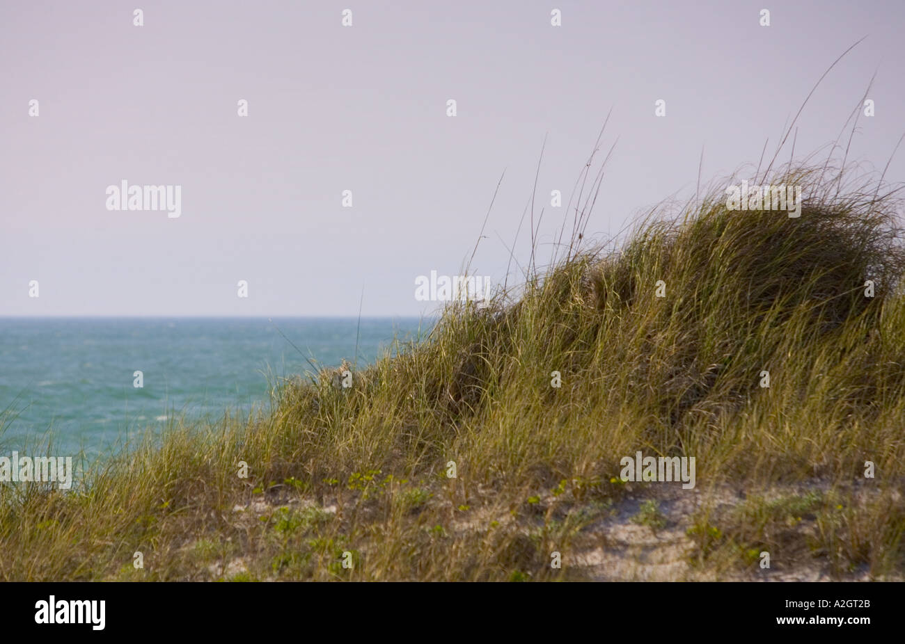 Dunes on the beach Stock Photo - Alamy