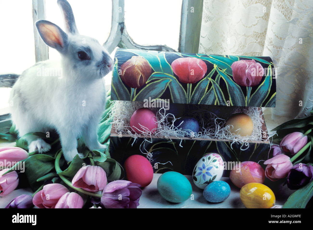 Rabbit in a basket with easter eggs hi-res stock photography and images ...