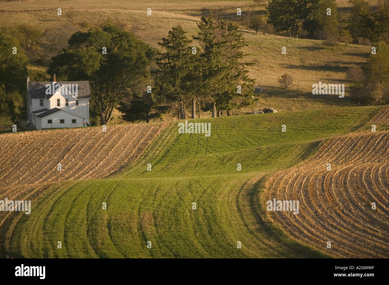 Hollandale hires stock photography and images Alamy