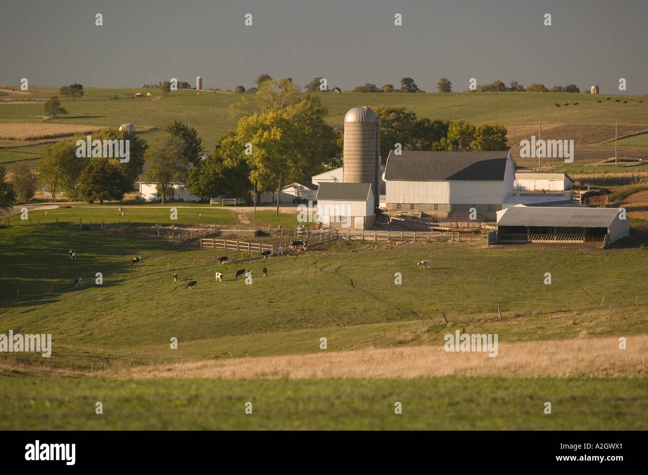 Hollandale hires stock photography and images Alamy