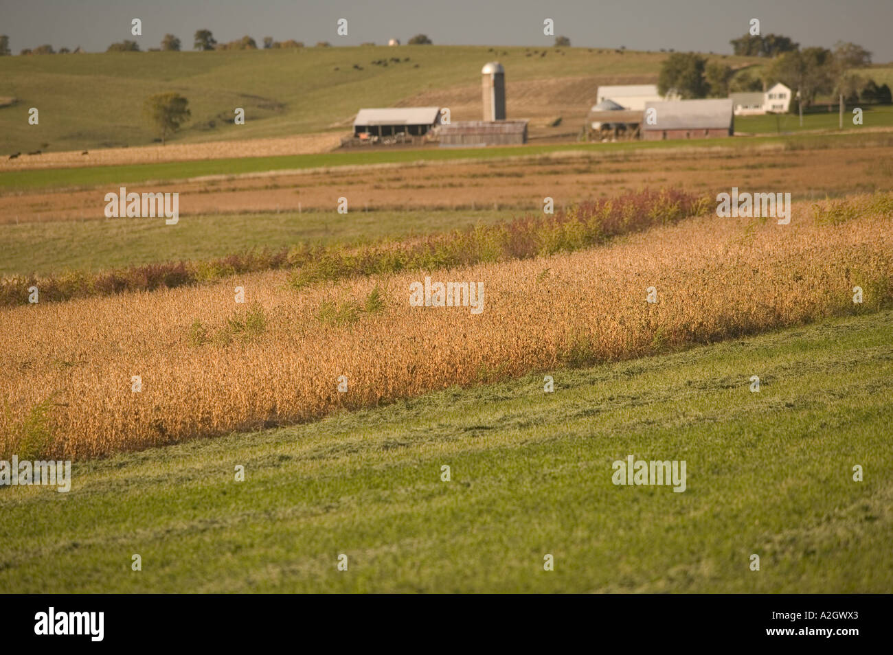 Hollandale hires stock photography and images Alamy
