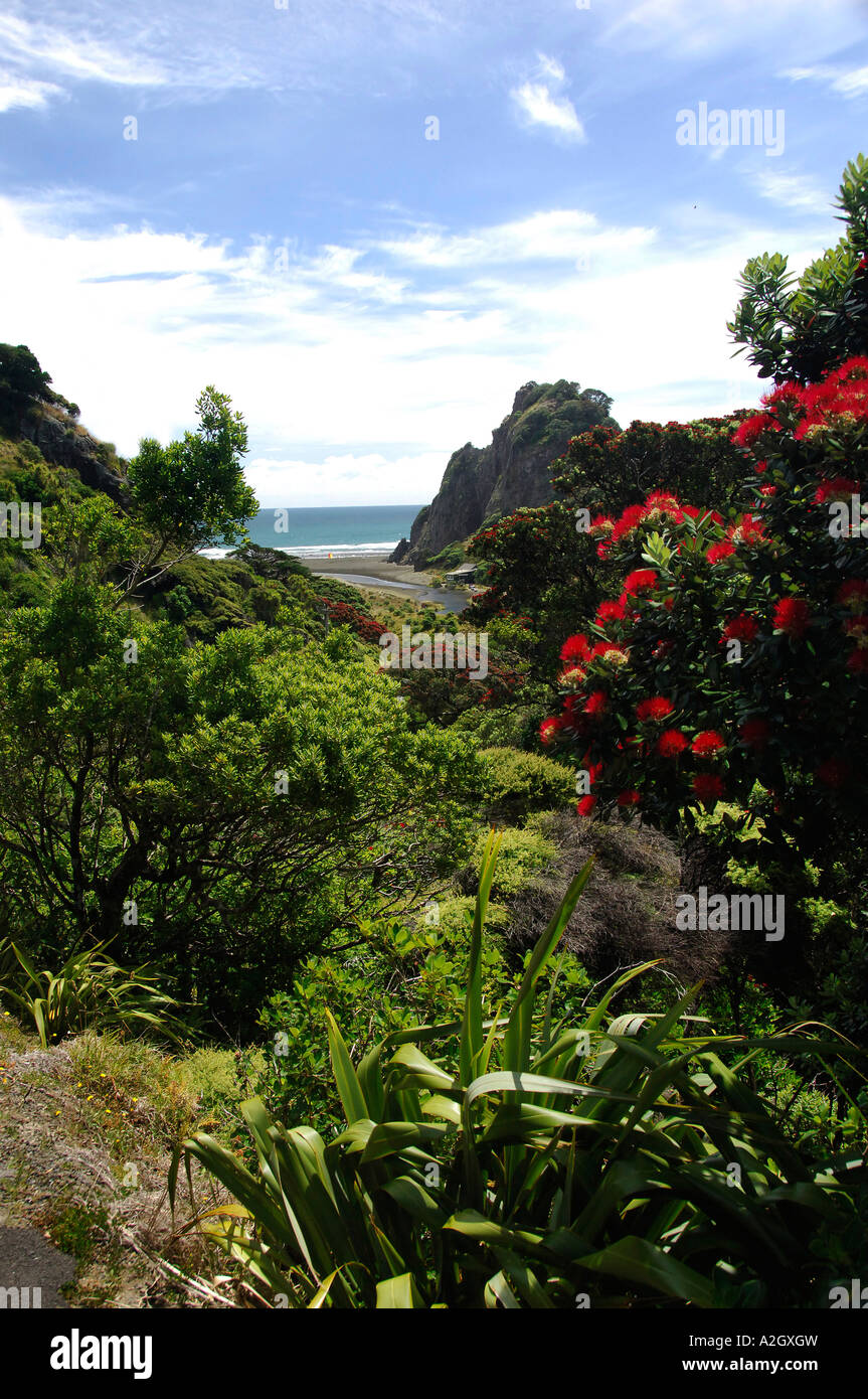 Waitakere Ranges Cliffs Karekare beach and cliffs near Piha, Waitakere Ranges, West Auckland ...