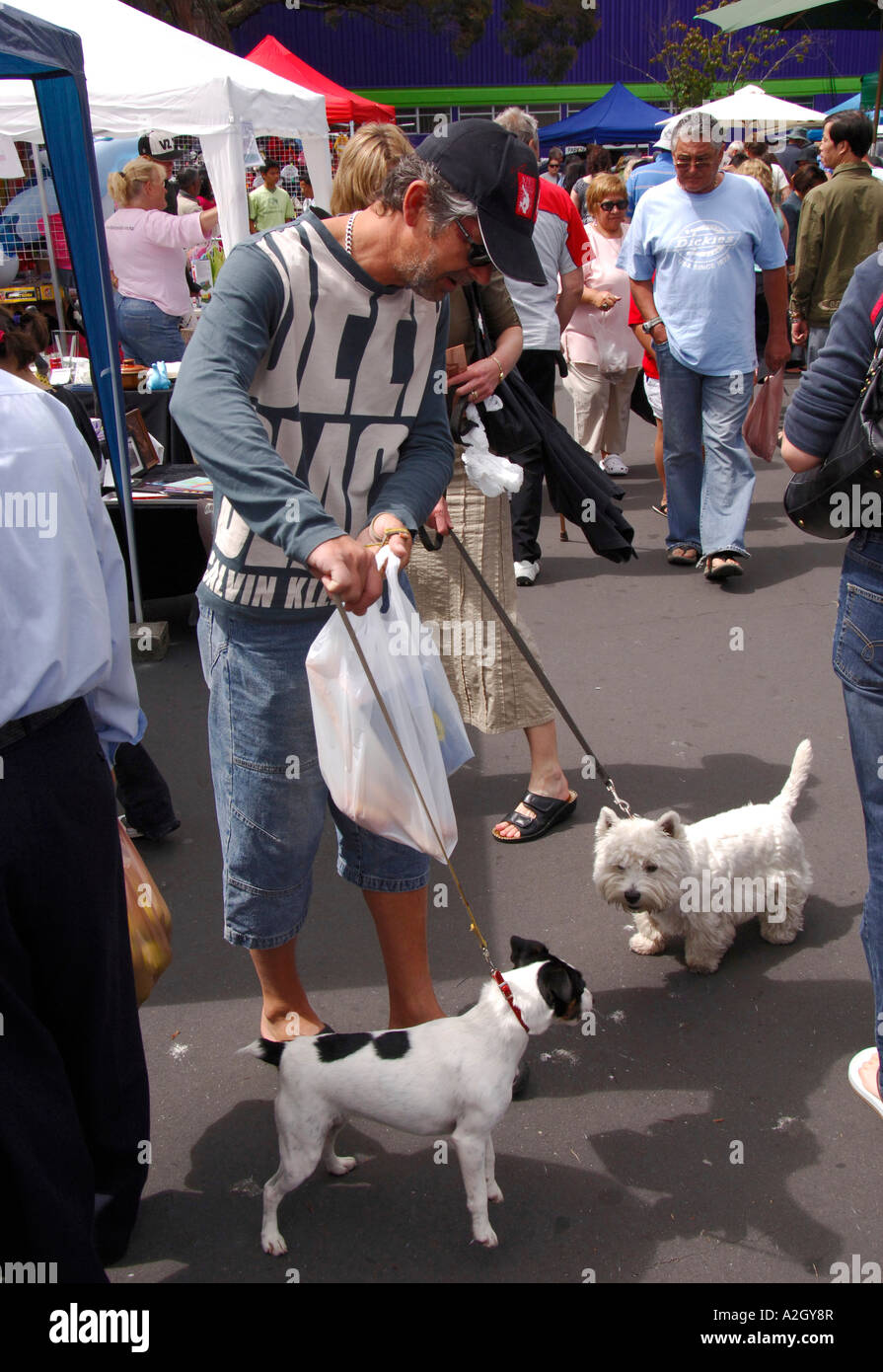 Man with two dogs, Takapuna Sunday Street Market, Auckland City North