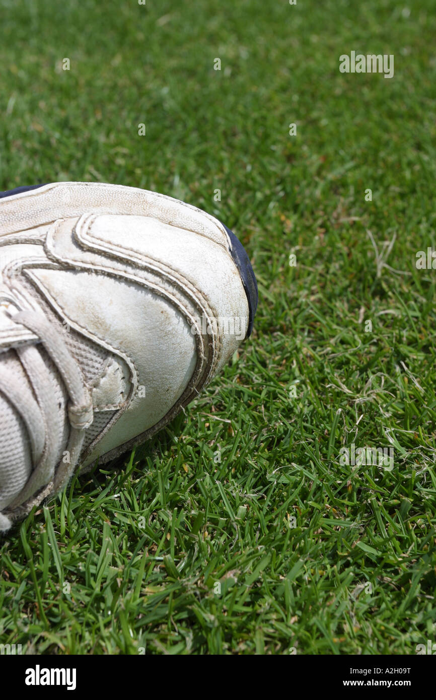 Training trainer sport shoe on green grass lawn pitch Stock Photo Alamy