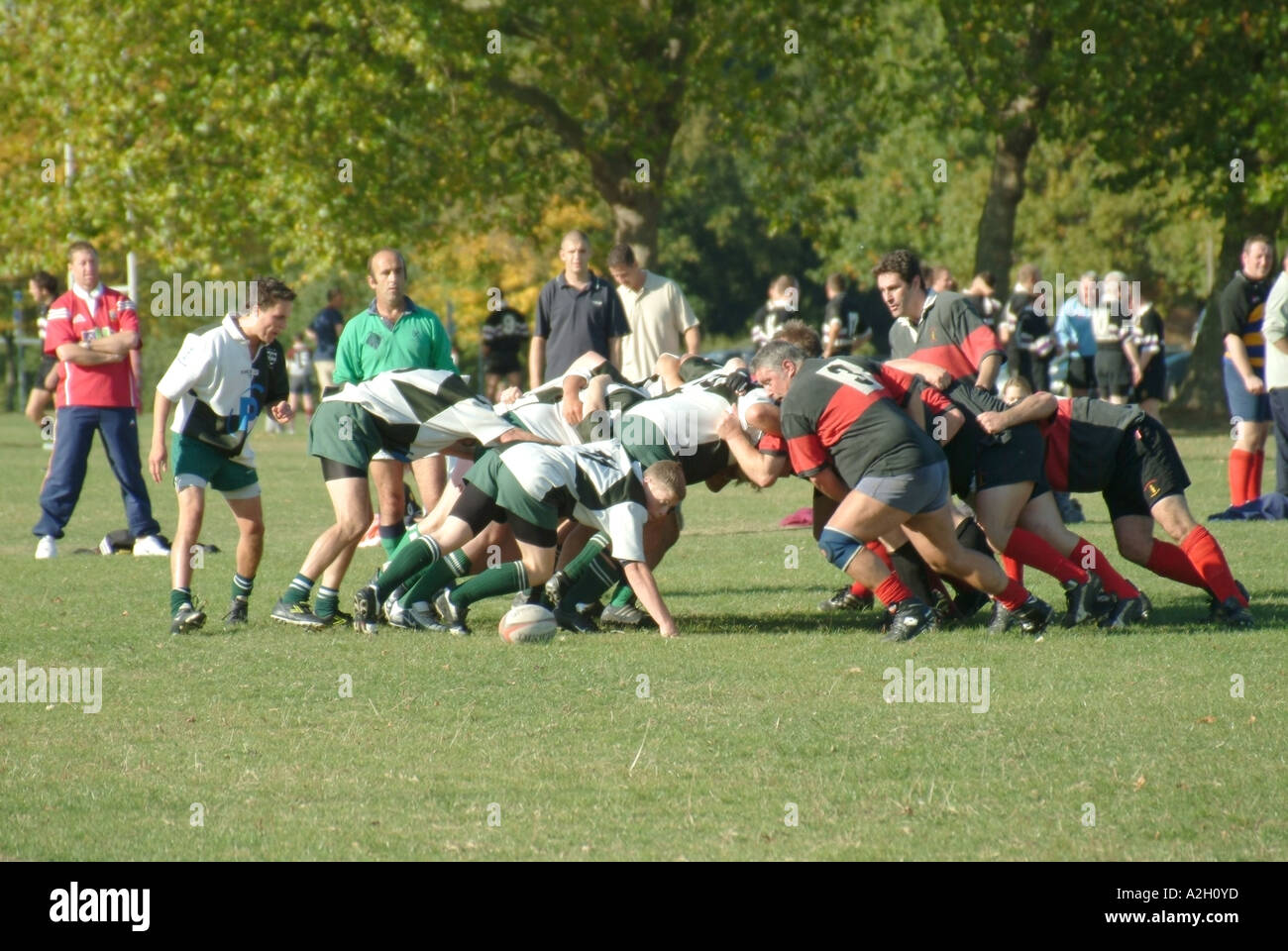 Scrum loose ball hires stock photography and images Alamy