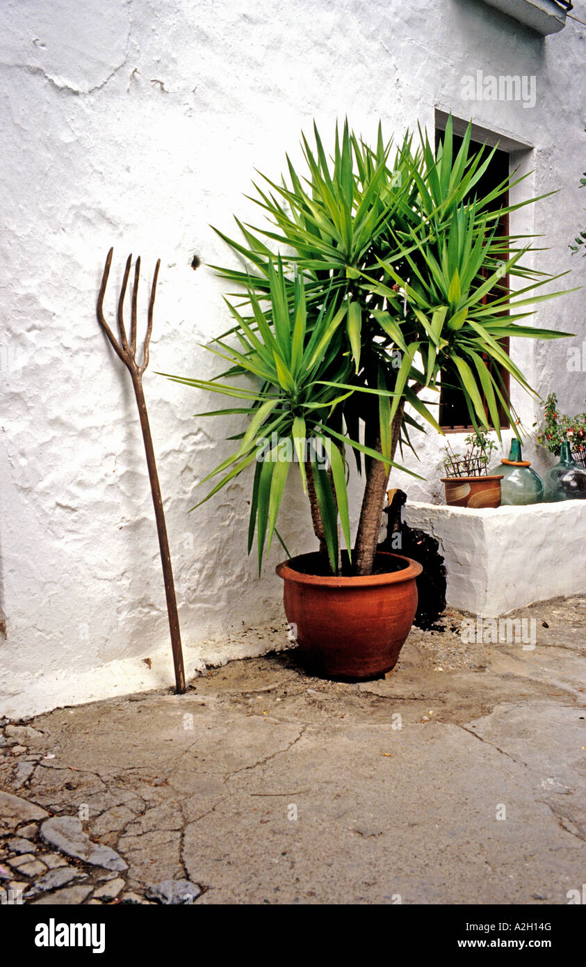 Wooden fork and yucca in a Spanish patio garden, Andalusia Spain Stock Photo