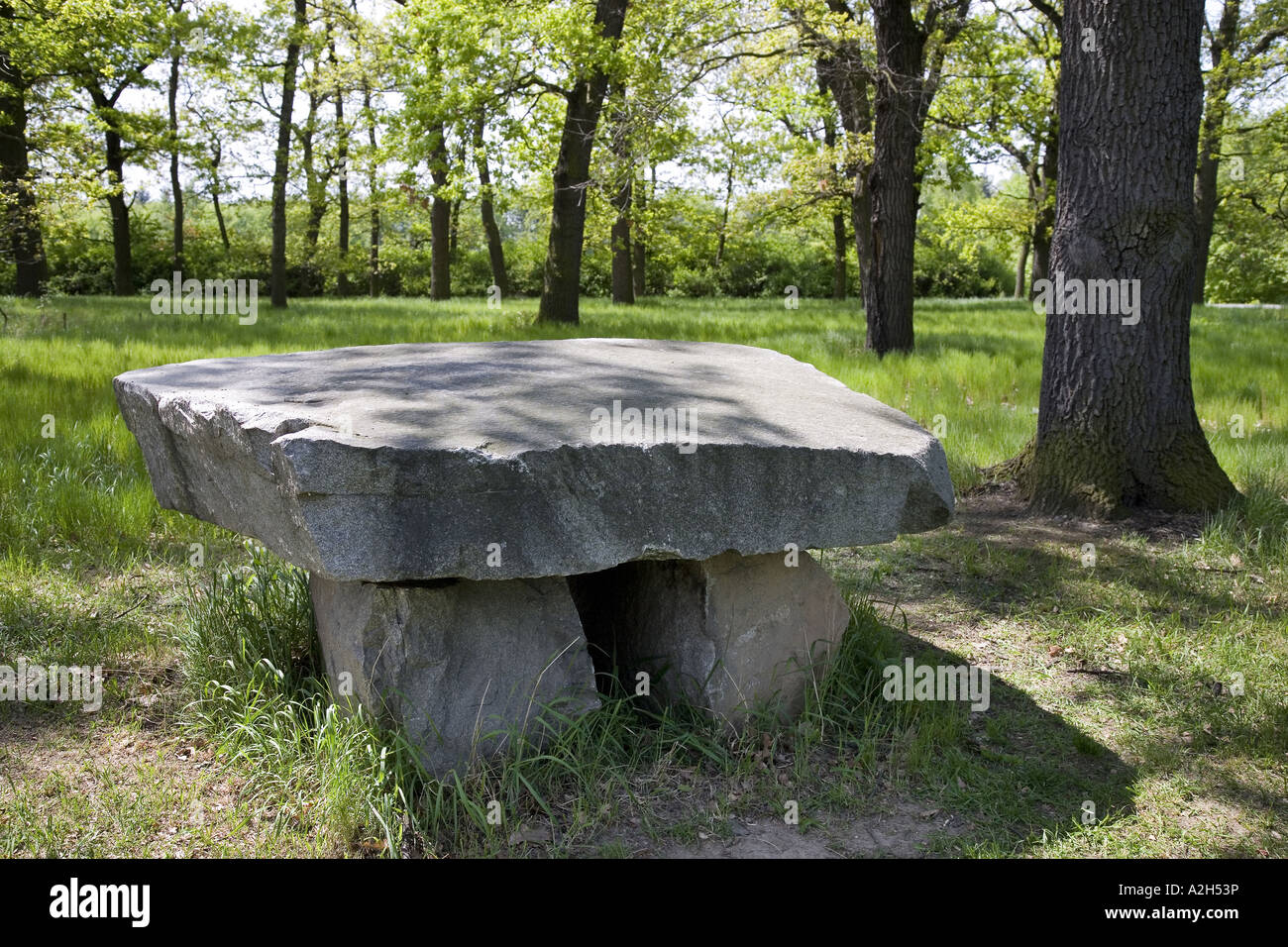 Dendrological and Botanical Gardens Prehistorical Table Stone Pruhonice Prague CR Stock Photo