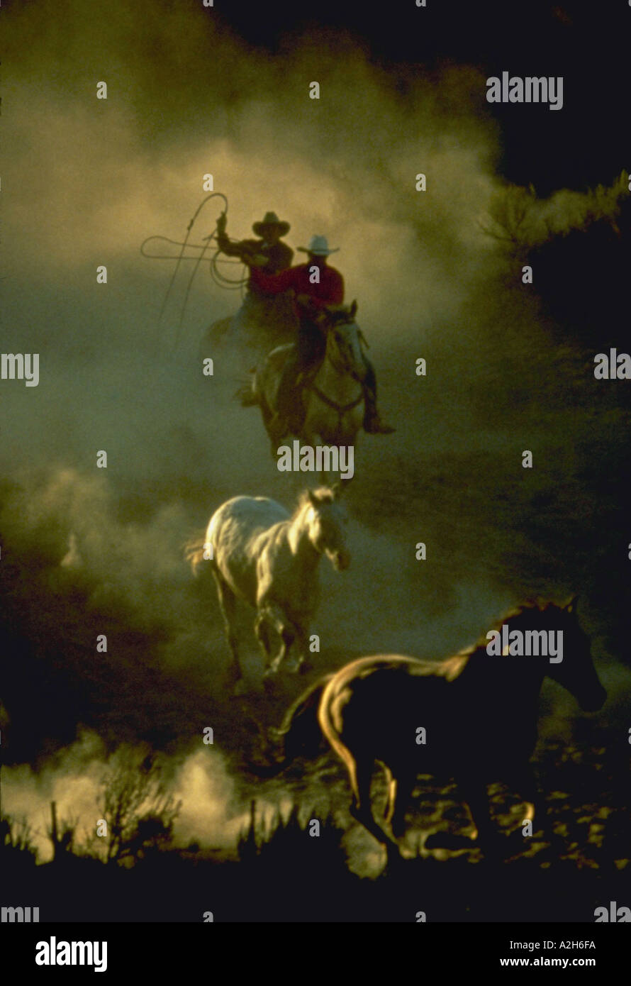 Two wranglers cowboys on horse hi-res stock photography and images - Alamy