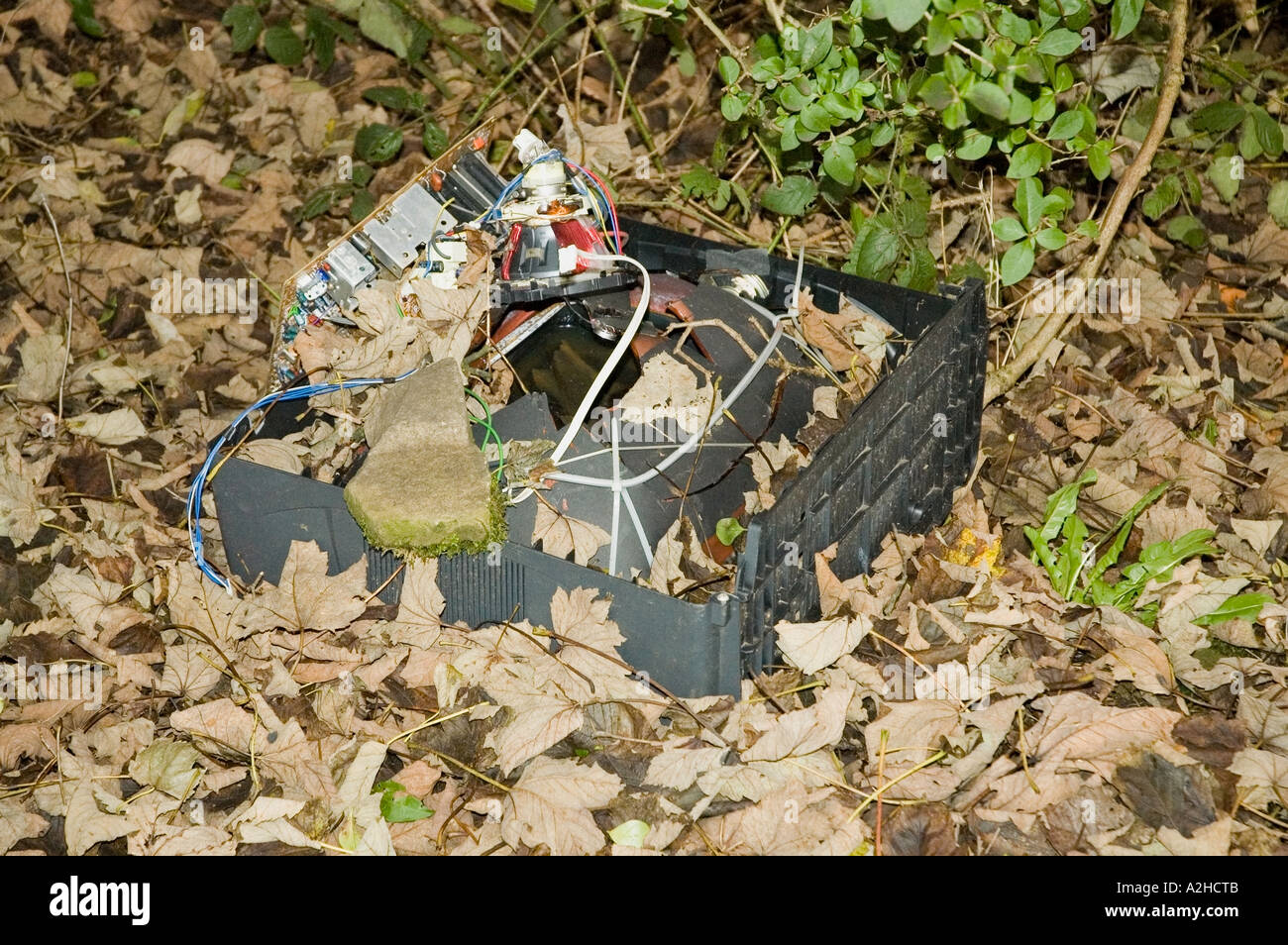 A old television dumped in woodland Stock Photo Alamy
