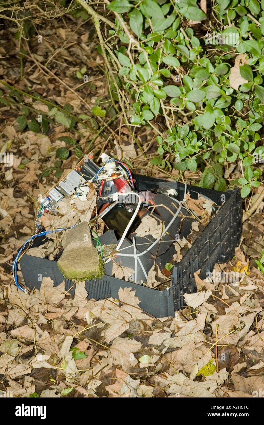 A old television dumped in woodland Stock Photo Alamy