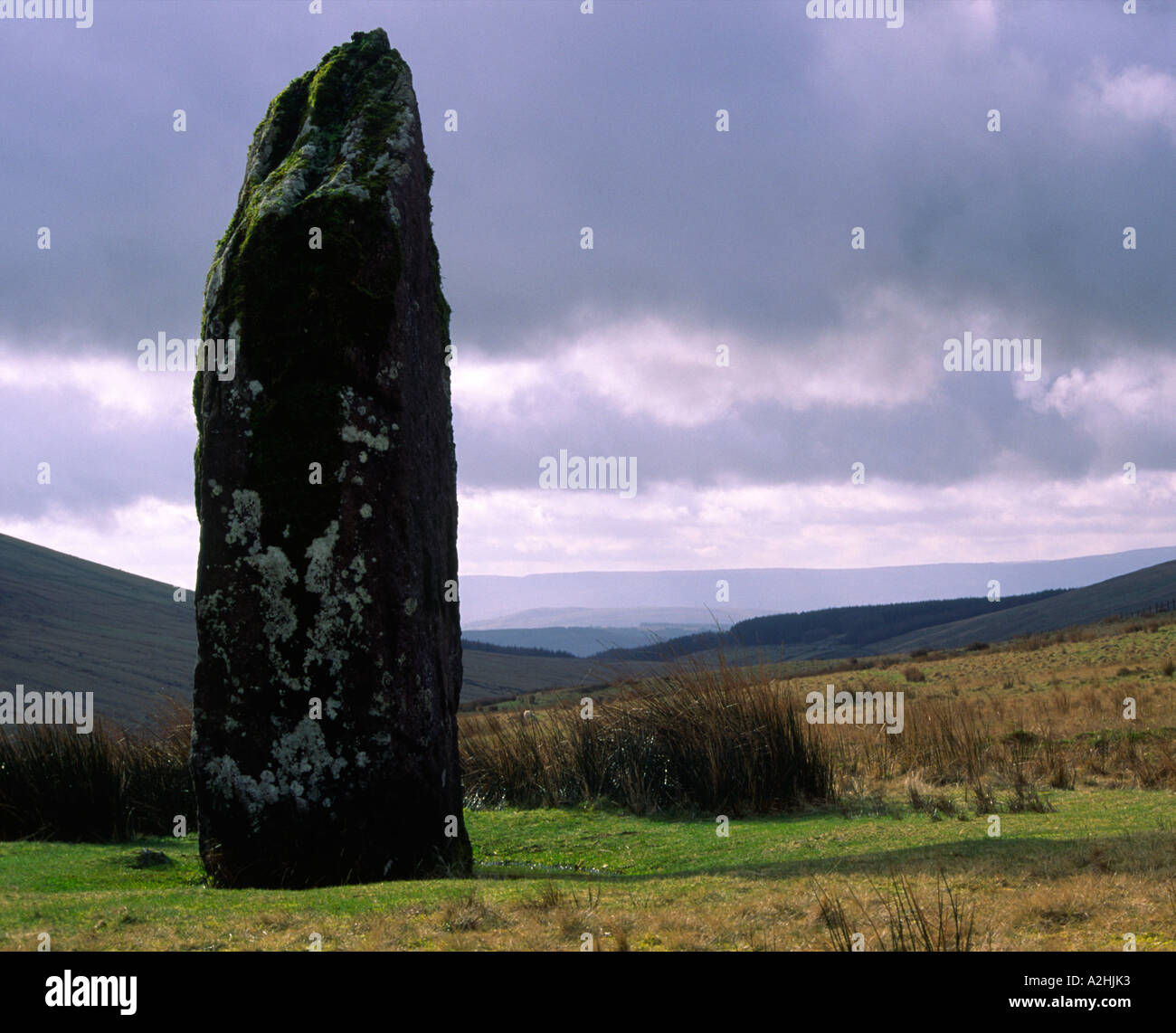 Maen Llia, tall standing stone in the western Brecon Beacons, Wales, UK Stock Photo