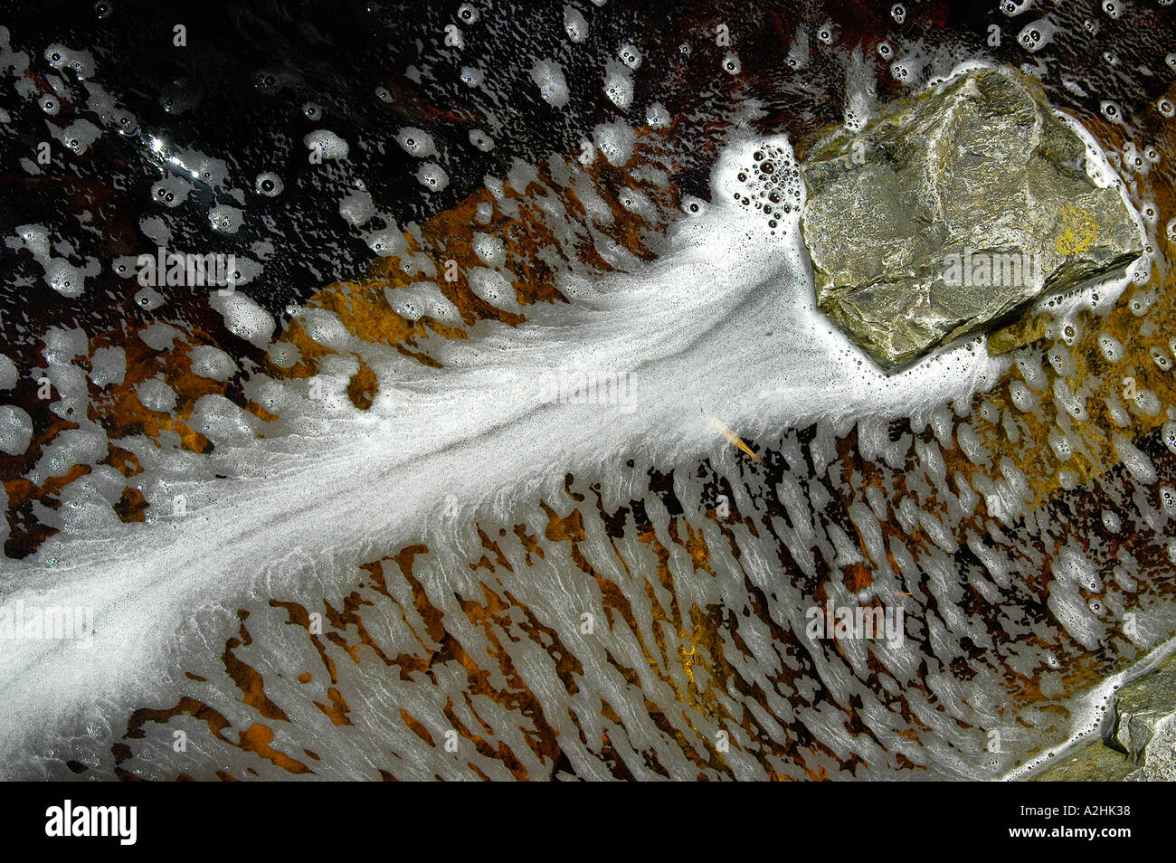 Stained Rivers White foam pattern in dark tannin stained rivers in shape from bottom ...