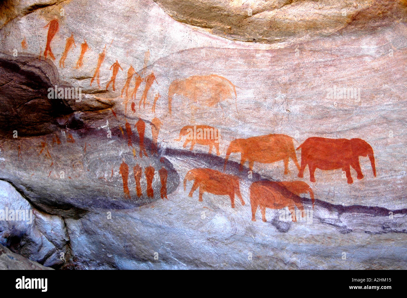 Rock art by Khoisan in Cederberg Wilderness Area Cape South Africa Stock Photo