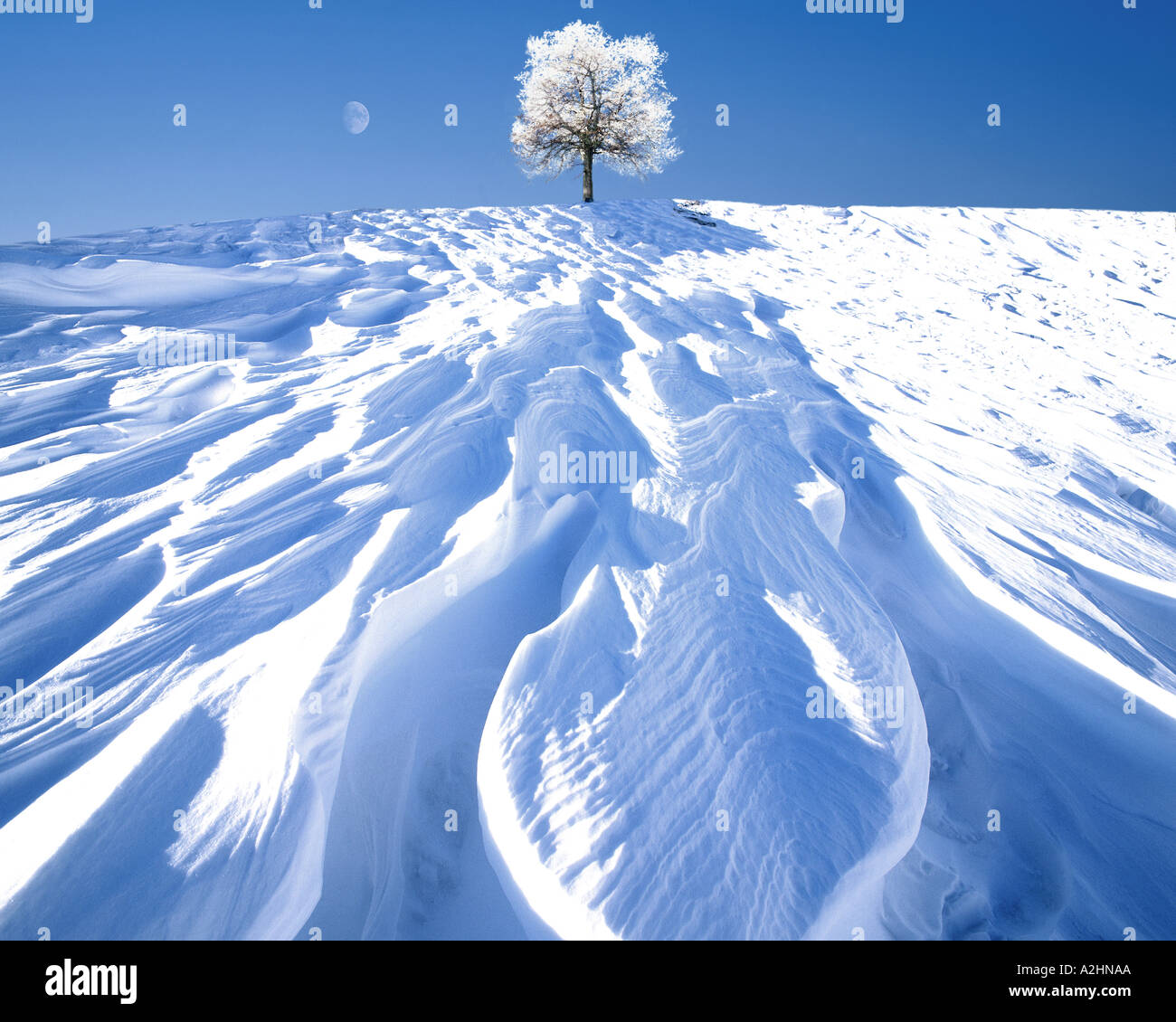 FOUR SEASONS:  Winter Stock Photo