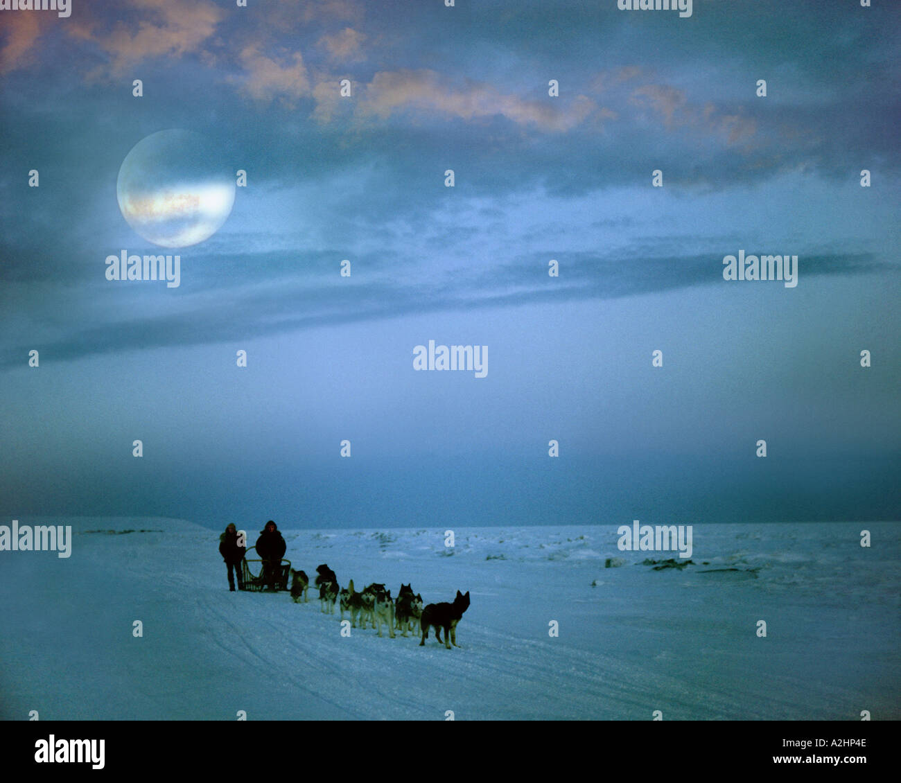 Nome alaska winter hires stock photography and images Alamy