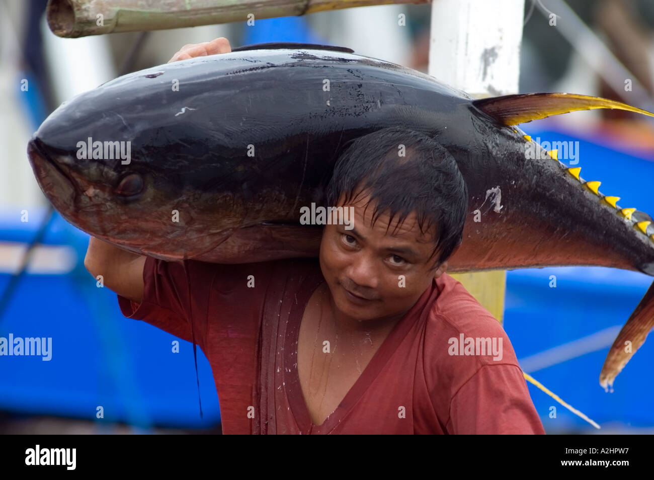 Yellowfin tuna fish market General Santos City, Mindanao, Philippines