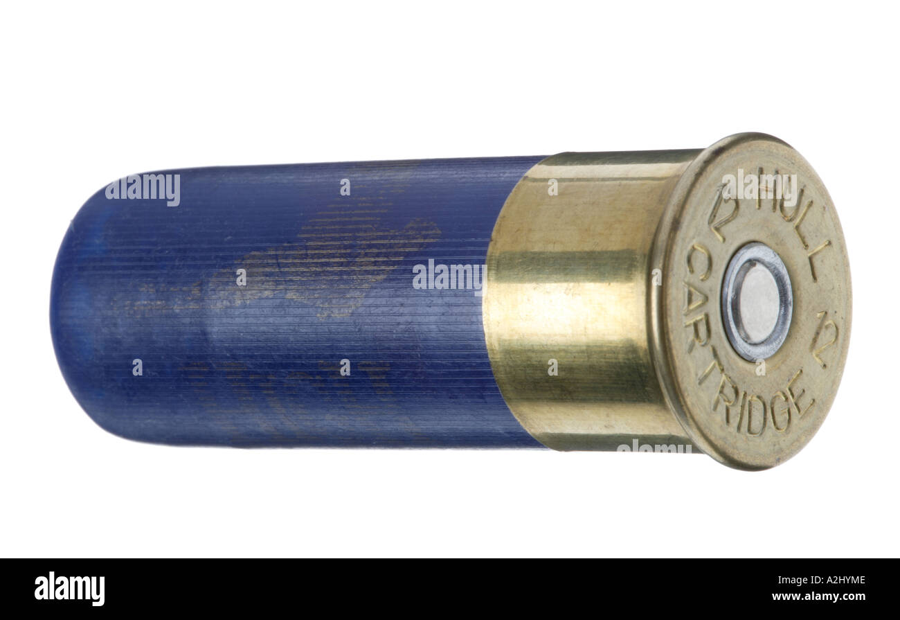 12 bore Shotgun cartridge by Hull Shot in plastic and brass casing  Percussion cap unused Stock Photo - Alamy