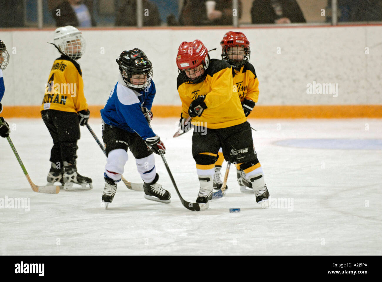 5 year old boys learn how to play the game of ice hockey Stock Photo