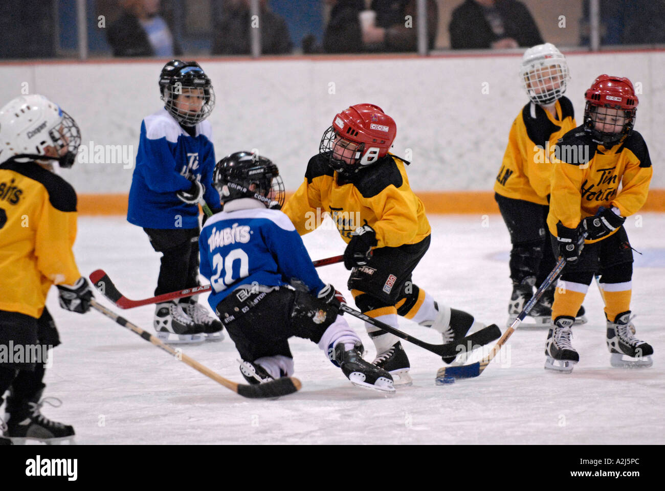 5 year old boys learn how to play the game of ice hockey Stock Photo