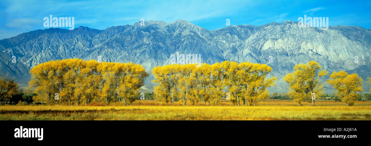Autumn color along Highway 395 Sierra Nevada California Stock Photo