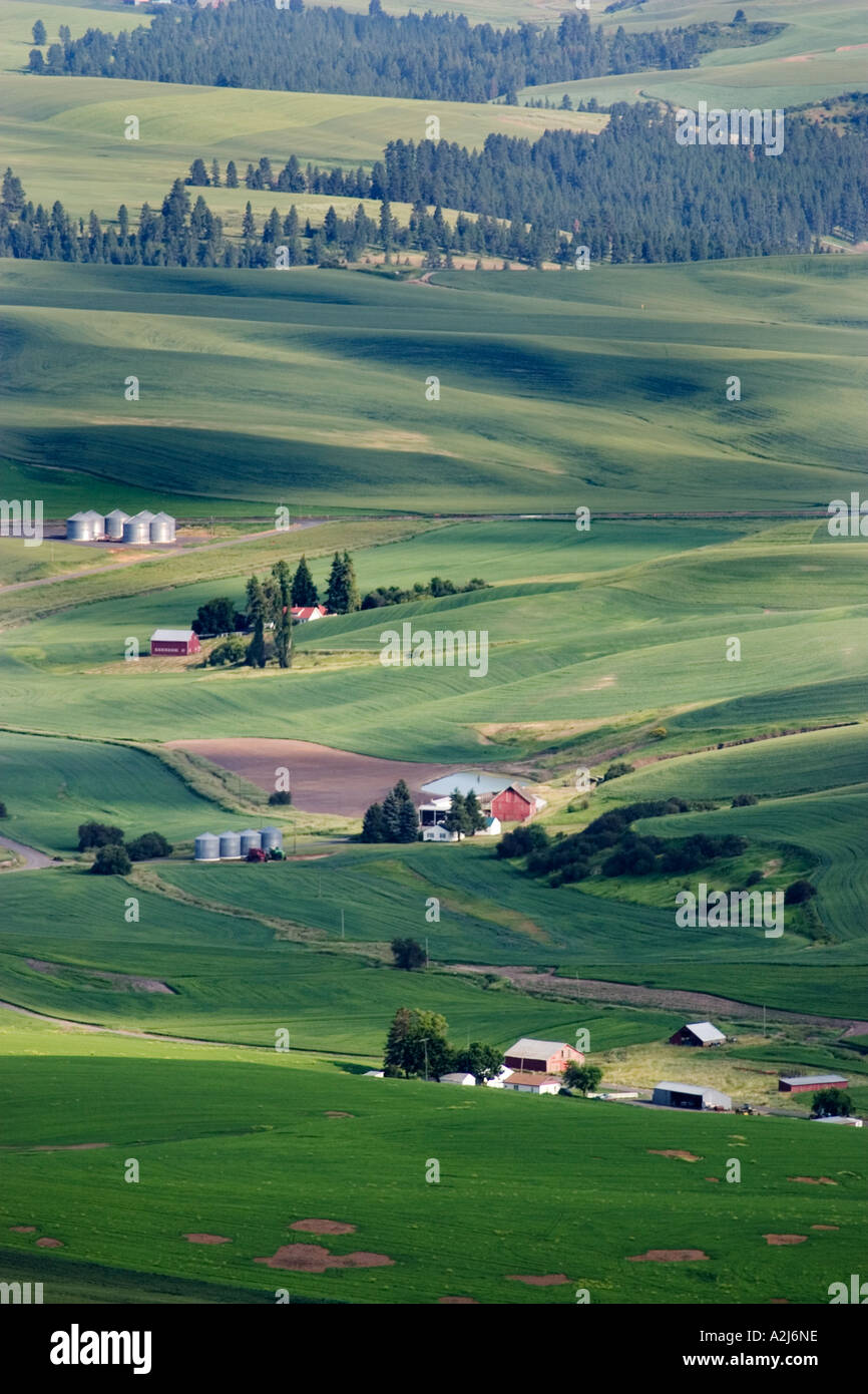 Farms are nestled in the wheatfields of Eastern Washington near the
