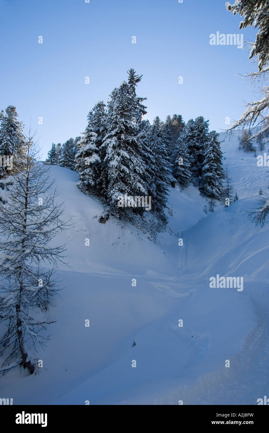 Woodland hillside snow scene on hi-res stock photography and images - Alamy