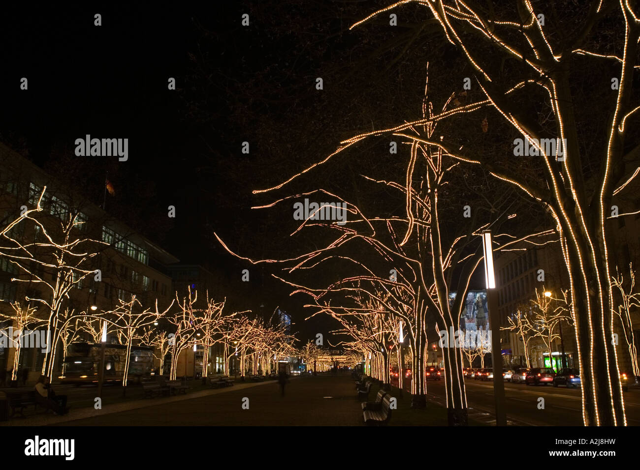 Christmas lights on trees lining Unter den Linden Berlin Germany Stock Photo Alamy