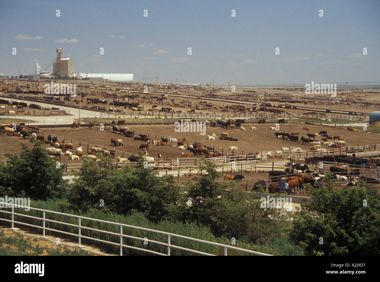 Feedyard hires stock photography and images Alamy