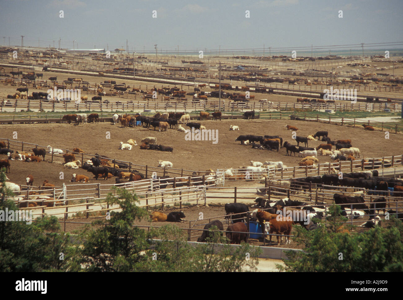 Feedyard hires stock photography and images Alamy