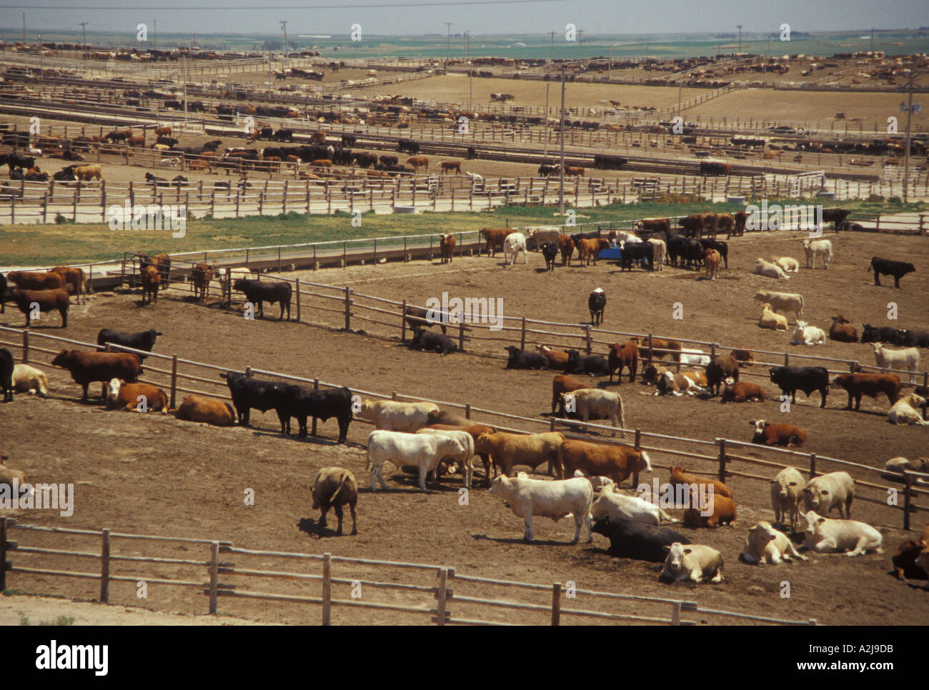 Feedyard hires stock photography and images Alamy