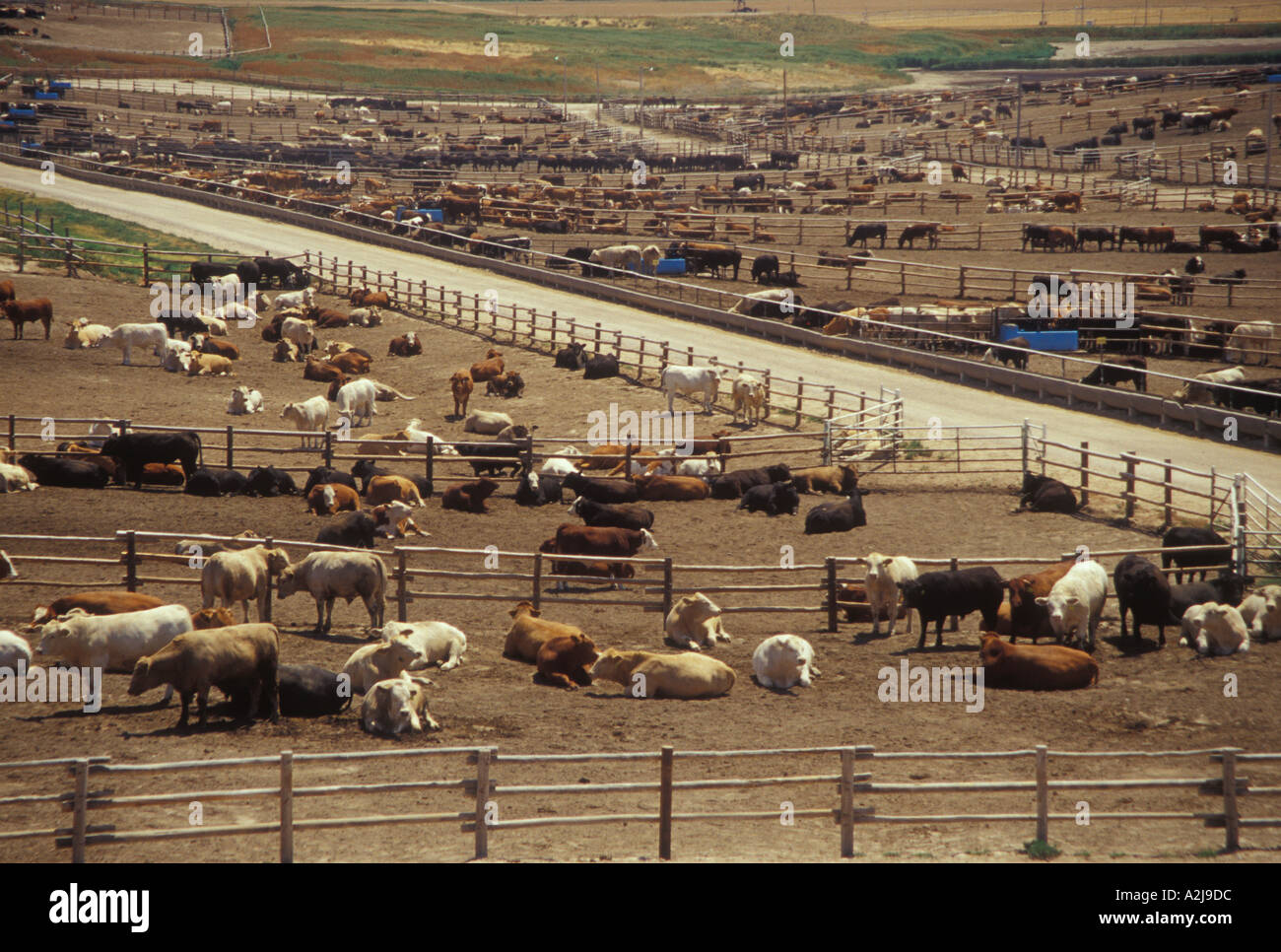 Feedyard hires stock photography and images Alamy